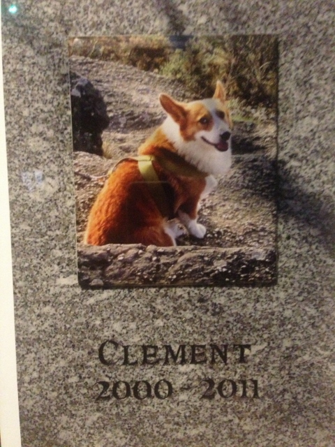 Clément il cane di Houellebecq