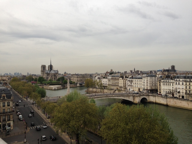 Vista dalla terrazza dell'Istituto del mondo arabo