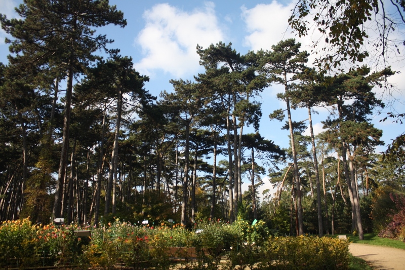 Passeggiata per il bois de Vincennes: nel Parc Floral