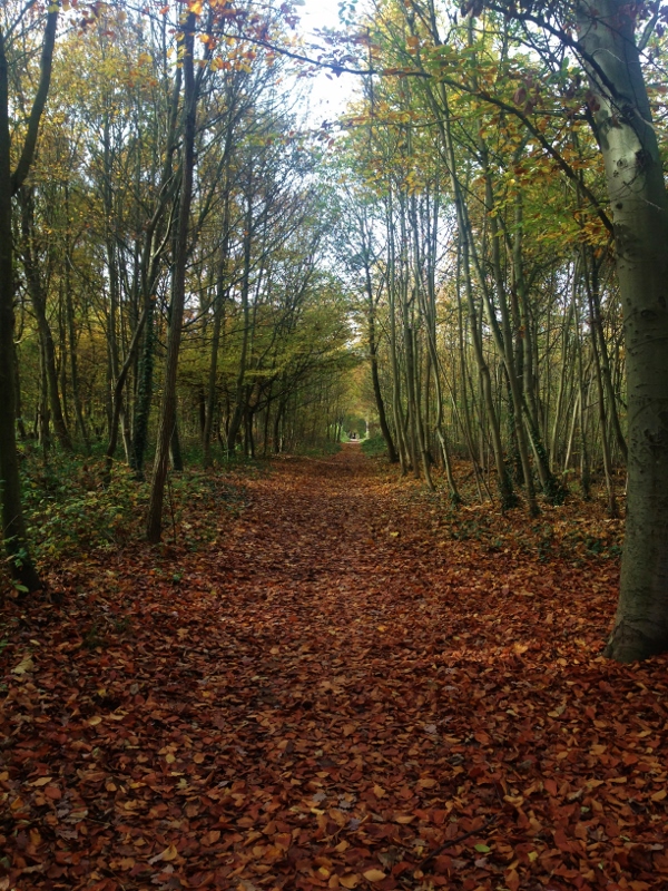 Passeggiata per il bois de Vincennes: sentiero 