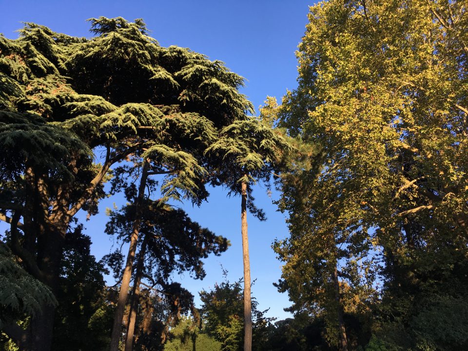 Passeggiando per il Parc de Montsouris