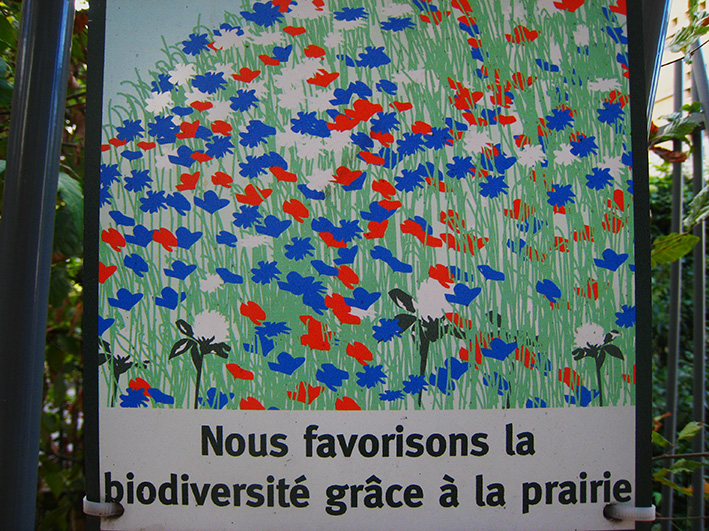 La biodiversità è importante nella Petite ceinture