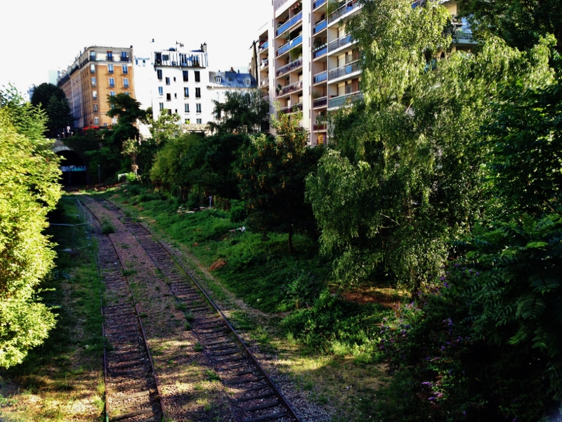 Che panorama dal parco di Belleville: da Gambetta con la macchina fotografica