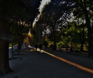 Botanica evoluzione e animali a Parigi: è il Jardin des Plantes